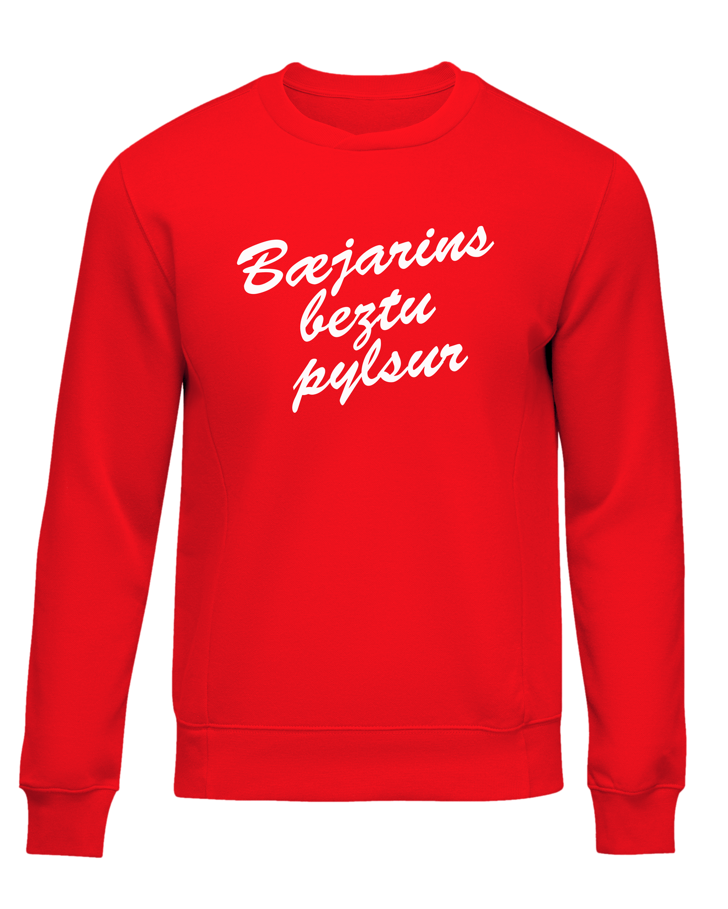 Bæjarins Beztu sweatshirt