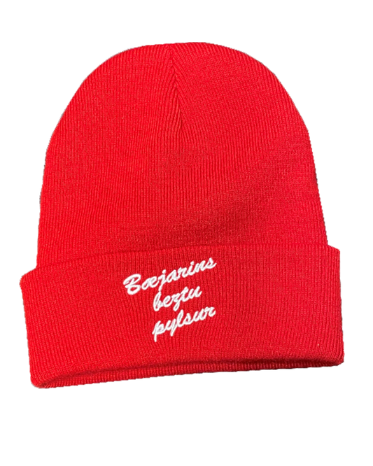 Bæjarins Beztu beanie